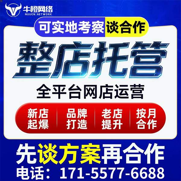 郑州电商代运营