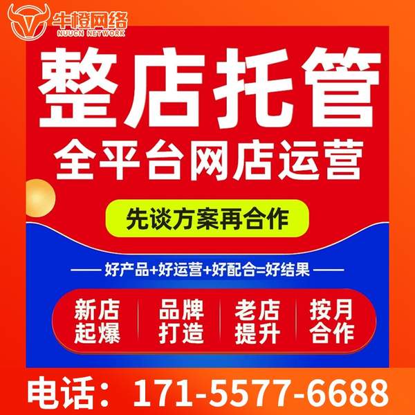 郑州电商代运营