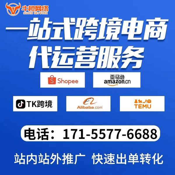 郑州电商代运营